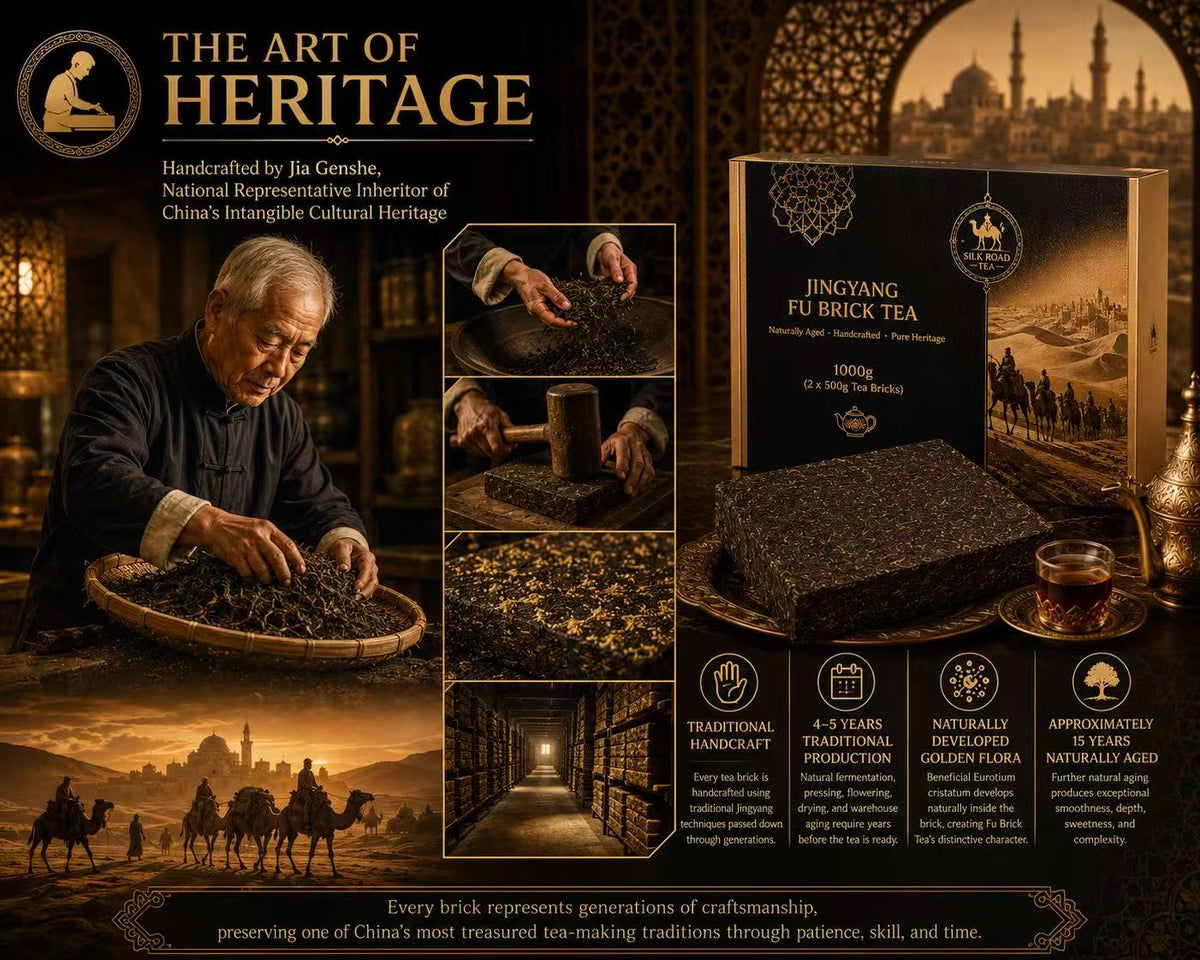15-Year Premium Collector’s Edition
